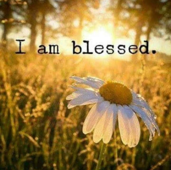 Follow Game #1 - Picture 6 of 7